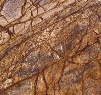 rainforest brown b59c378f033ecfabf5dee551bc2ddd8f
