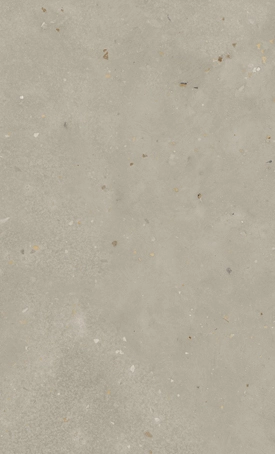 905 silvertail cu 275x454 rgb 10072023